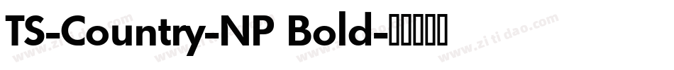 TS-Country-NP Bold字体转换